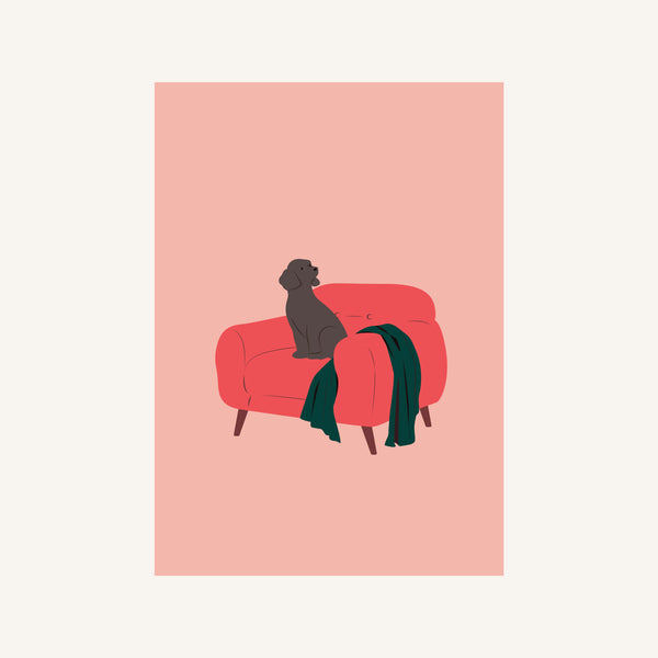 A SOFA WAITING THROUGH THE DAY